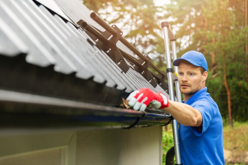 Gutter Inspection During Cleaning