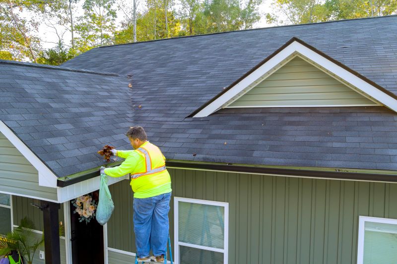 Safe Gutter Maintenance